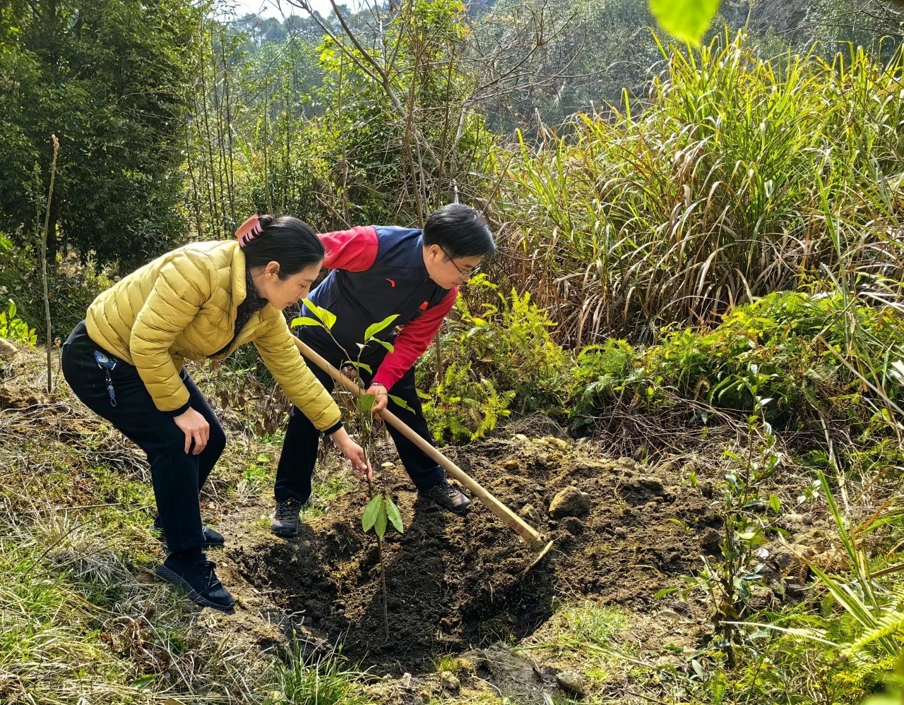 火博体育