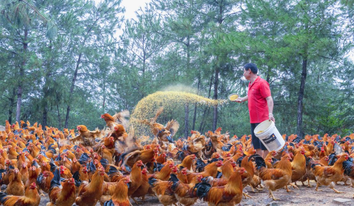 火博体育
